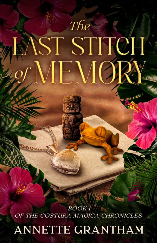 The Last Stitch of Memory cover