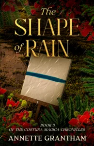 The Shape of Rain book